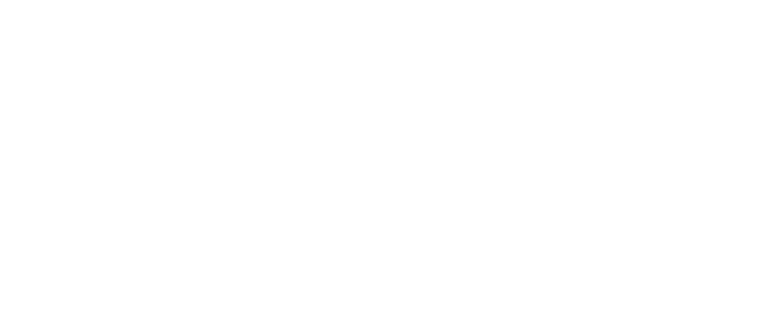 INSST_logo_blanco