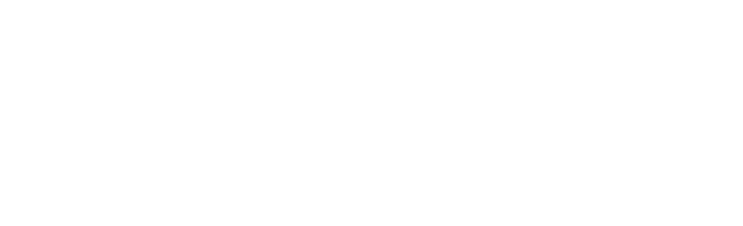 MITES_bn_pie_blanco