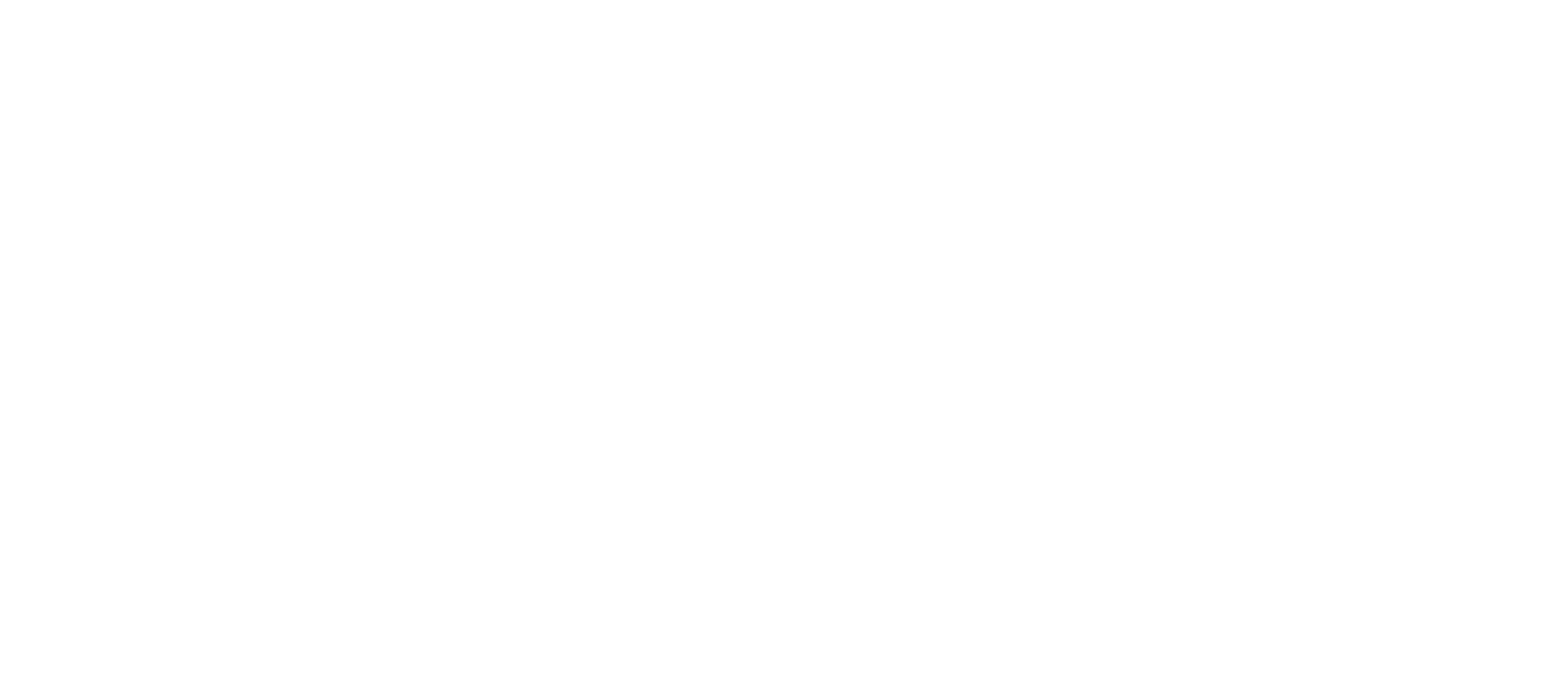 INSST_logo_blanco